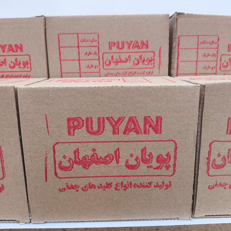 کلید بالابر ساختمانی پویان اصفهان 32 آمپر